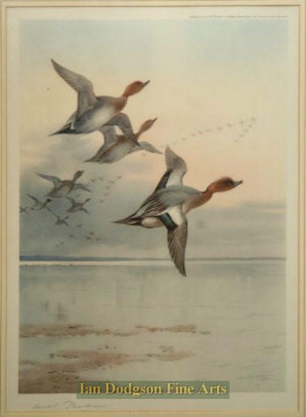 Wigeon over an estuary by Archibald Thorburn R.A.