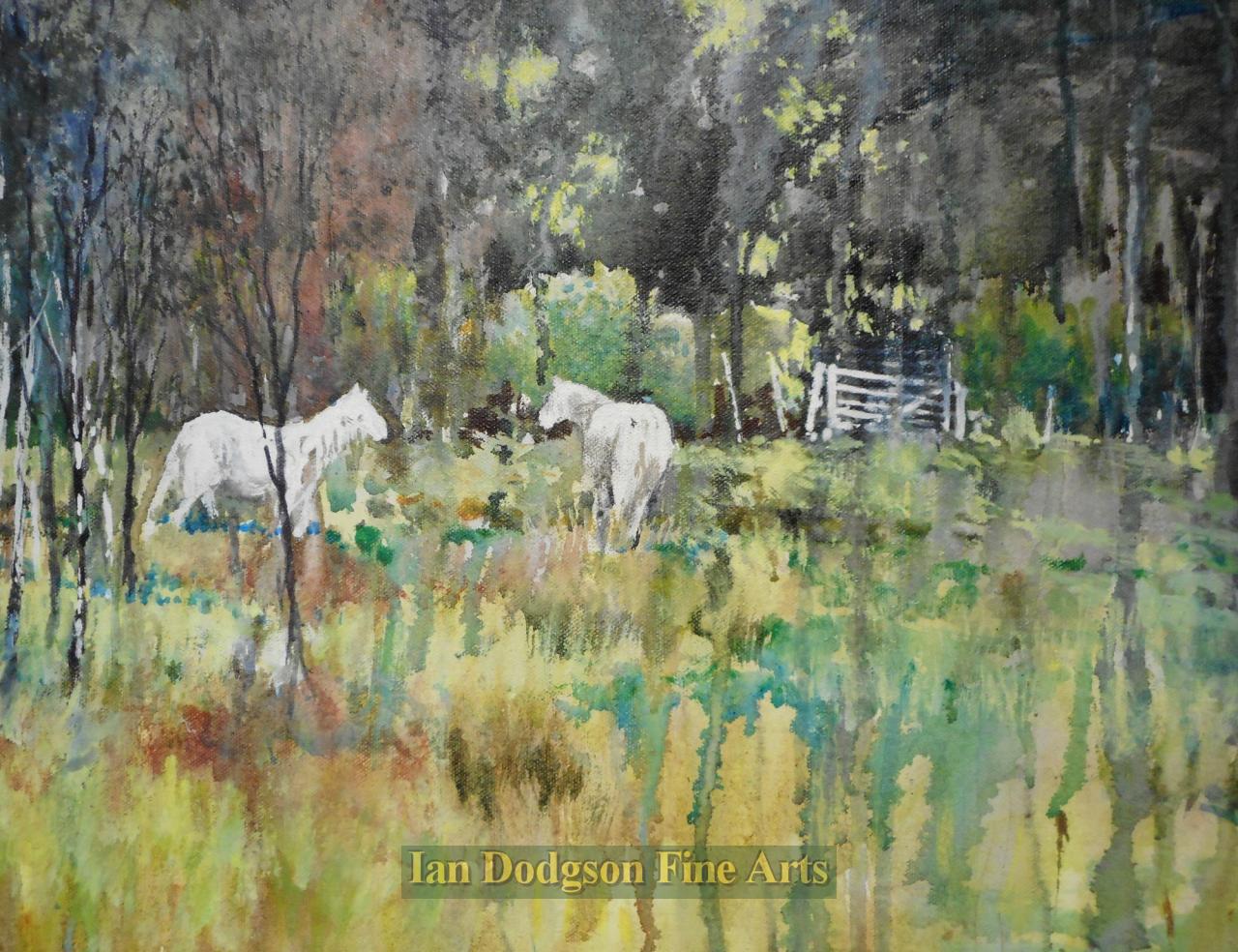 White Horses, Parc Meurig by Jeremy Yates PRCA