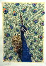 Beautiful ( Peacock) by Victoria Hall
