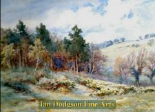Pine Woods - Flintshire, North Wales. by Frederick J Knowles