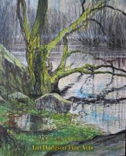Flood Plain (Llanberis) by Jeremy Yates