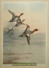 Wigeon over an estuary by Archibald Thorburn