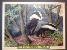 Badgers leaving the sett by Charles F Tunnicliffe