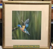 'Richard Duffield - The Kingfisher