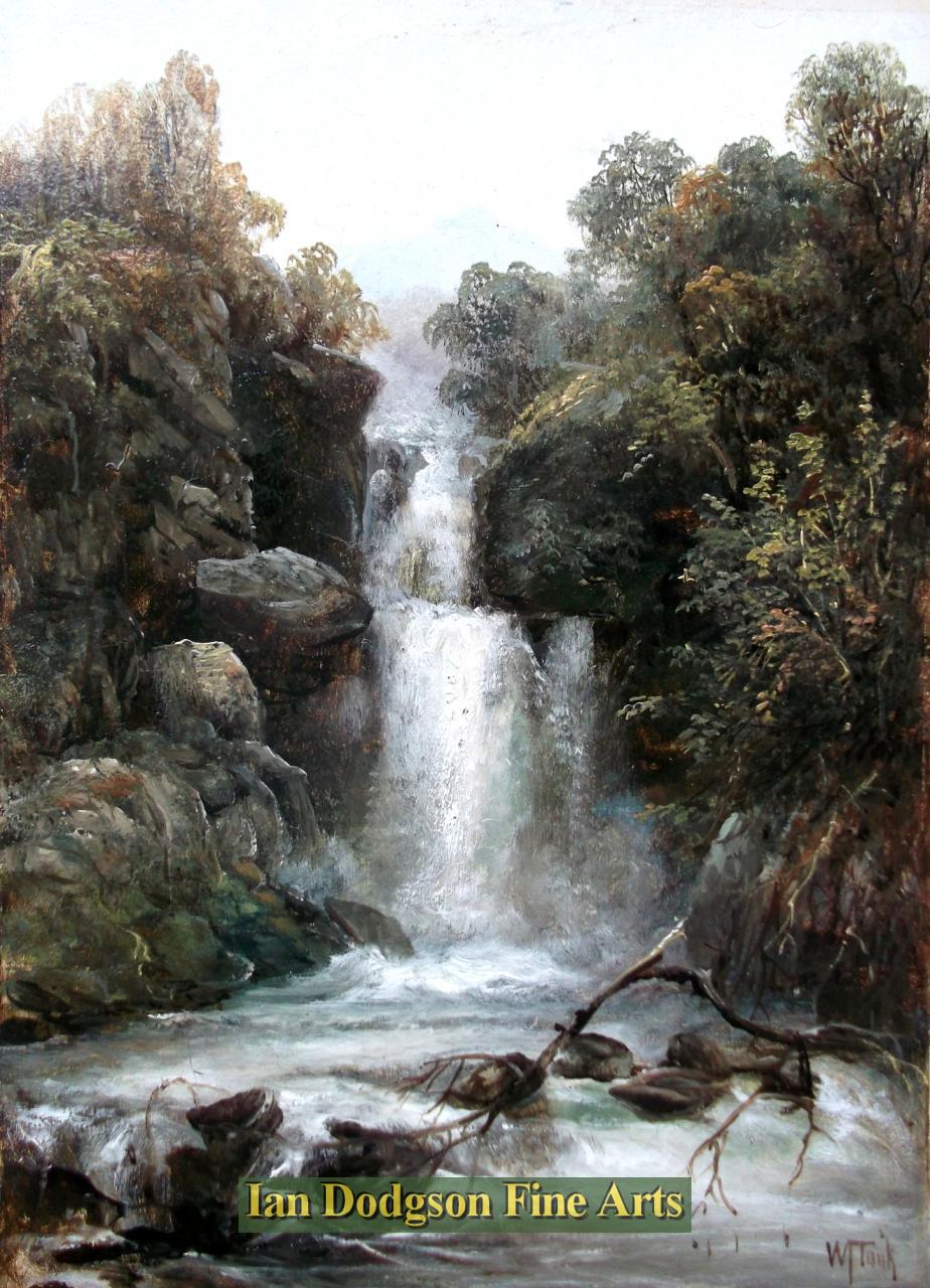Waterfall by William Took.