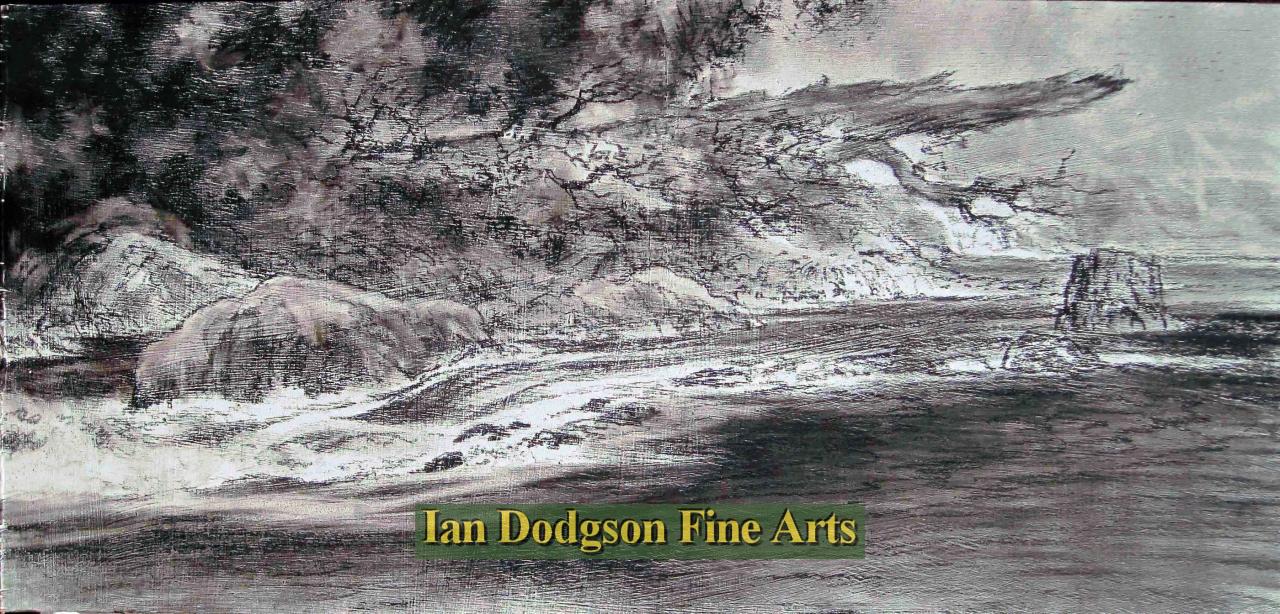 Fallen Tree (Afon Llugwy) by Jeremy Yates