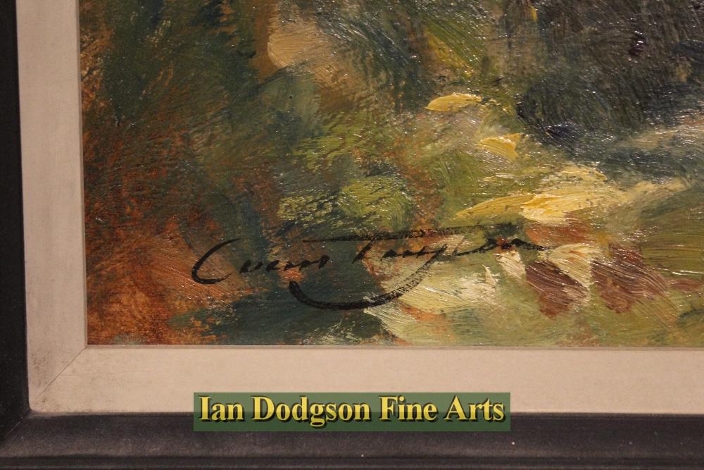 Dolgelly, North Wales by Ivan Taylor