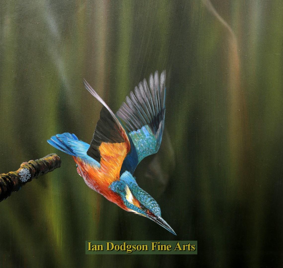 Richard Duffield - The Kingfisher Gouache (c2010)