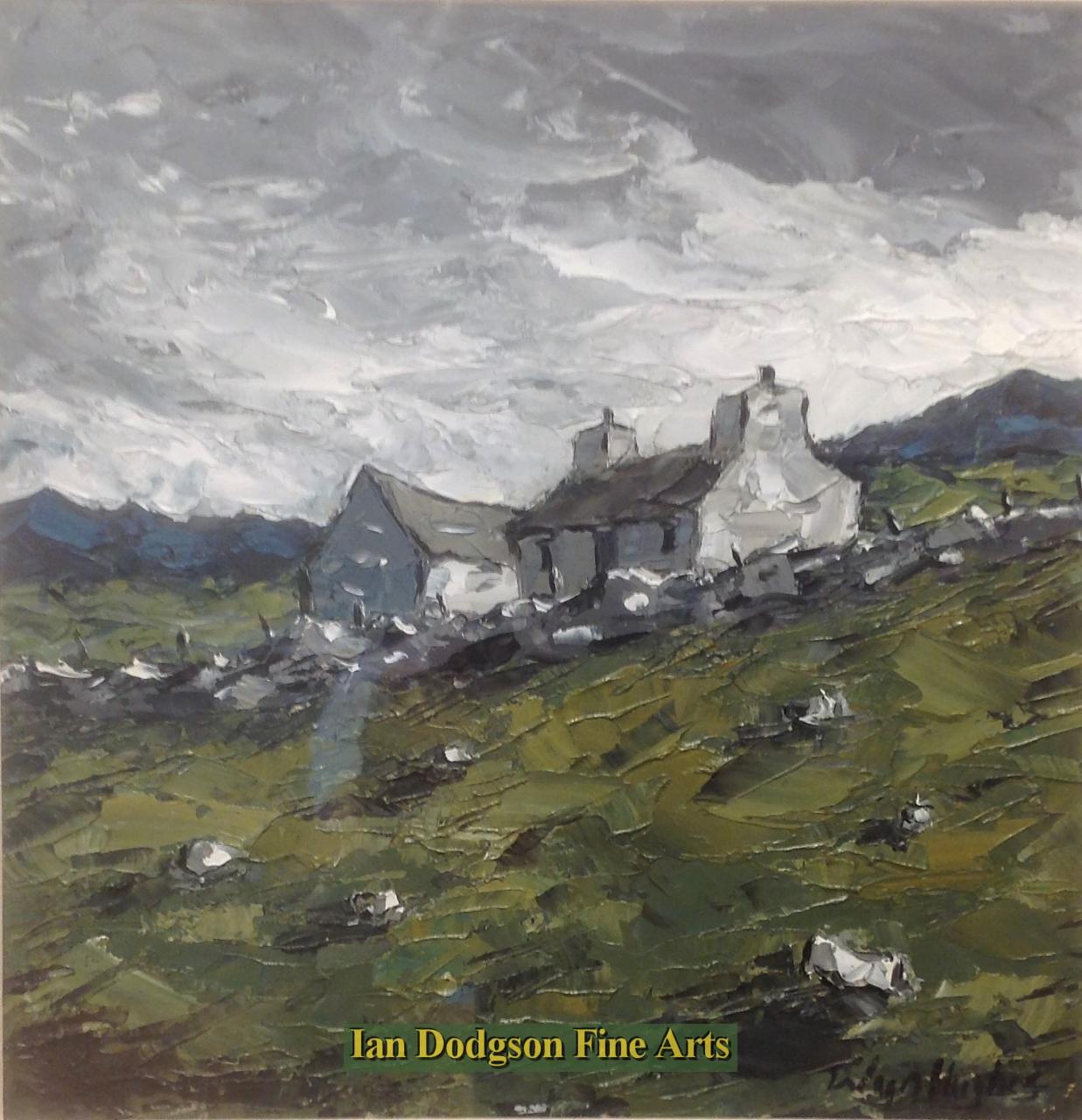 Wyn Hughes - Cae Mur Oil on board (2017)