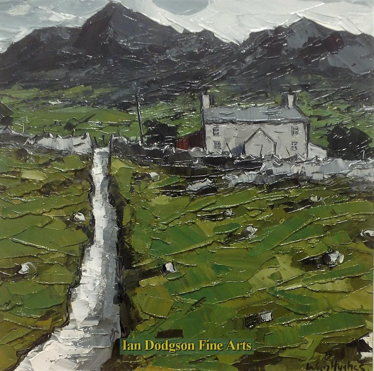 Bryn Golau, Snowdonia by Wyn Hughes