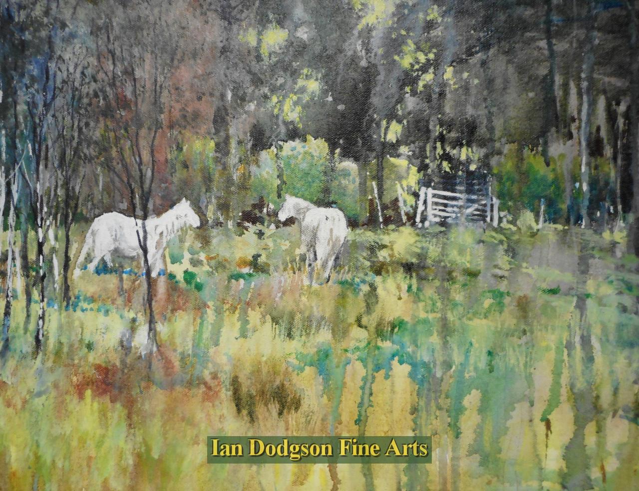 White Horses, Parc Meurig by Jeremy Yates