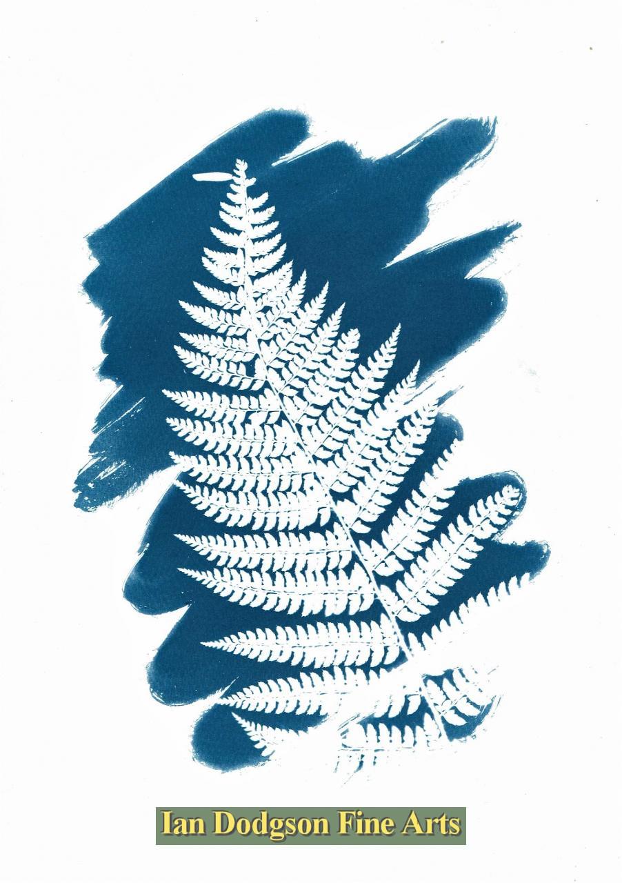 Gill Hughes - Cyan Fern Cyanotype Monoprint (2018)