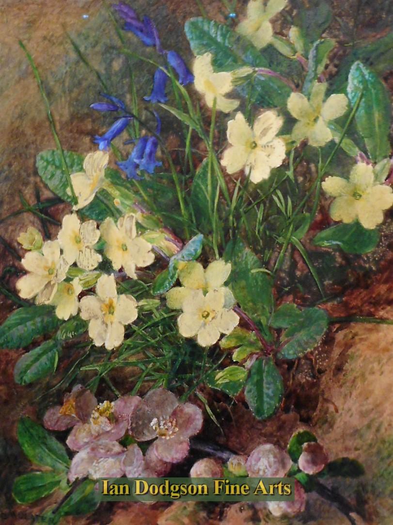 Charles Henry Slater - Primroses, Bluebells and Blossom Watercolour with bodycolour (c1880)