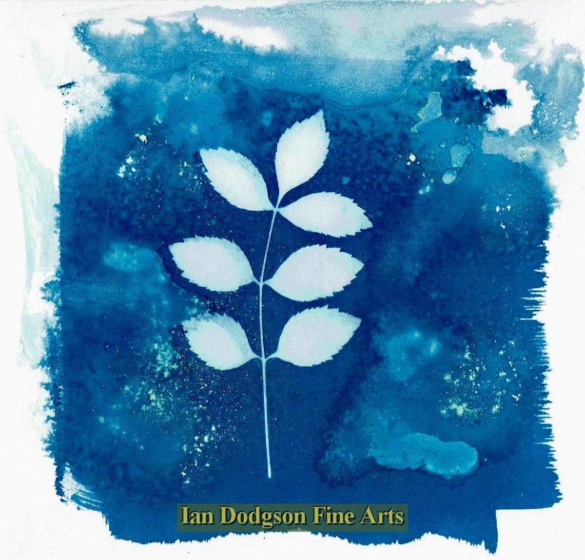 Leaf by Gill Hughes