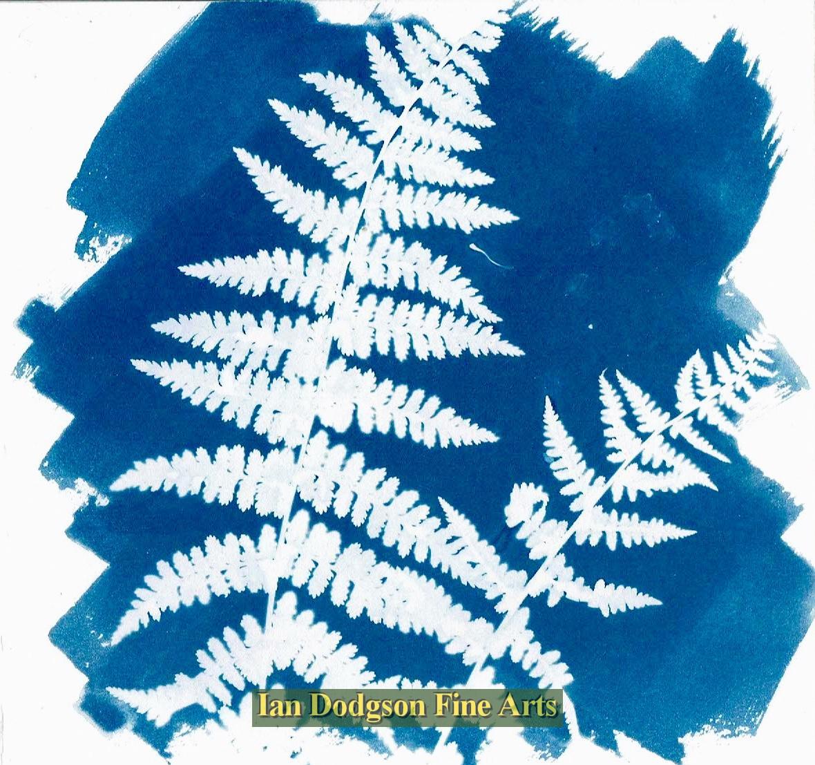 Fern 5 by Gill Hughes
