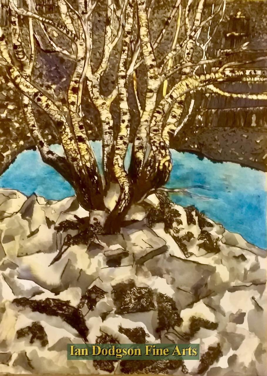 Winter Quarry, Bethesda by Jeremy Cullimore
