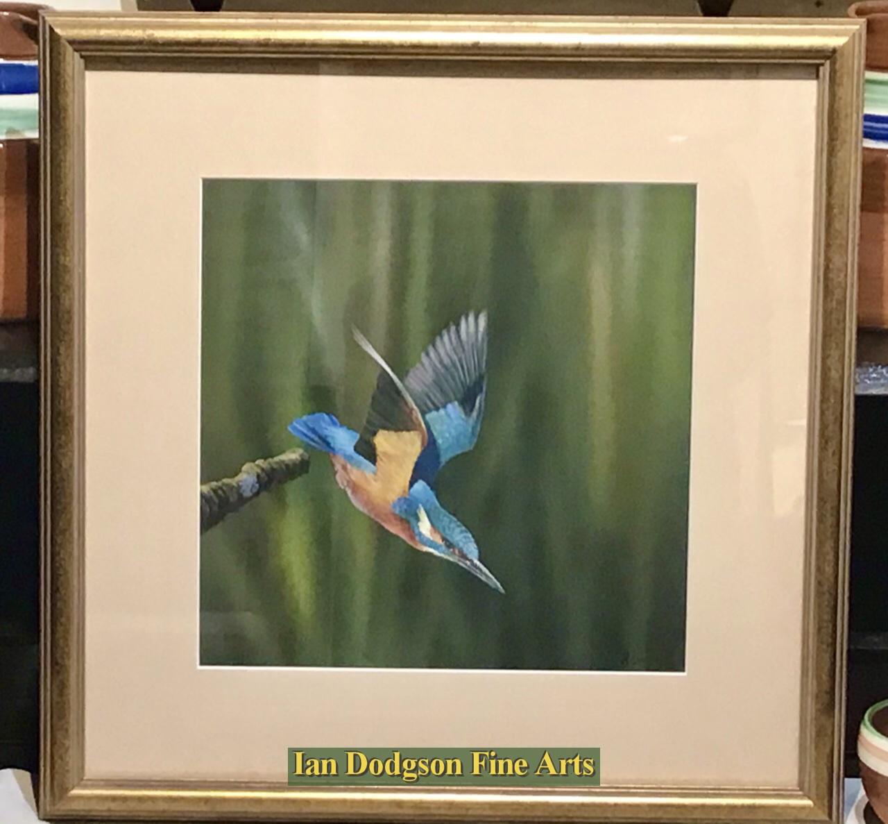 The Kingfisher by Richard Duffield