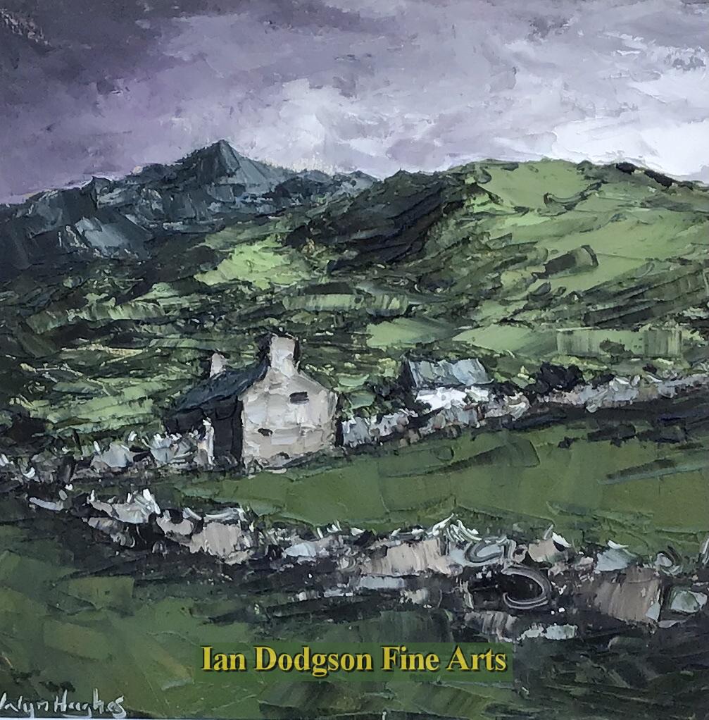 Wyn Hughes - Fron Gwynedd Oil on board (20211)