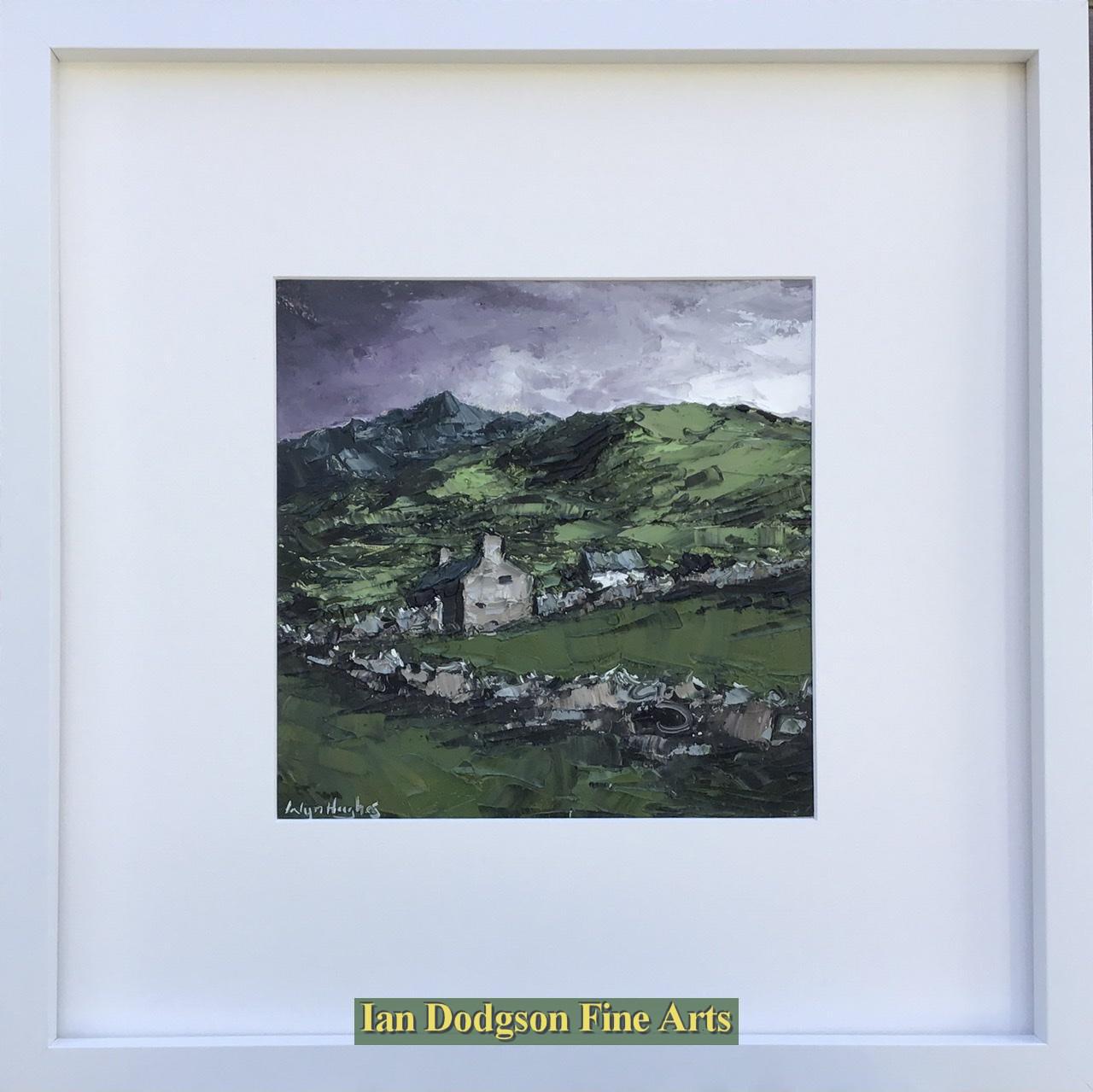 Fron Gwynedd by Wyn Hughes