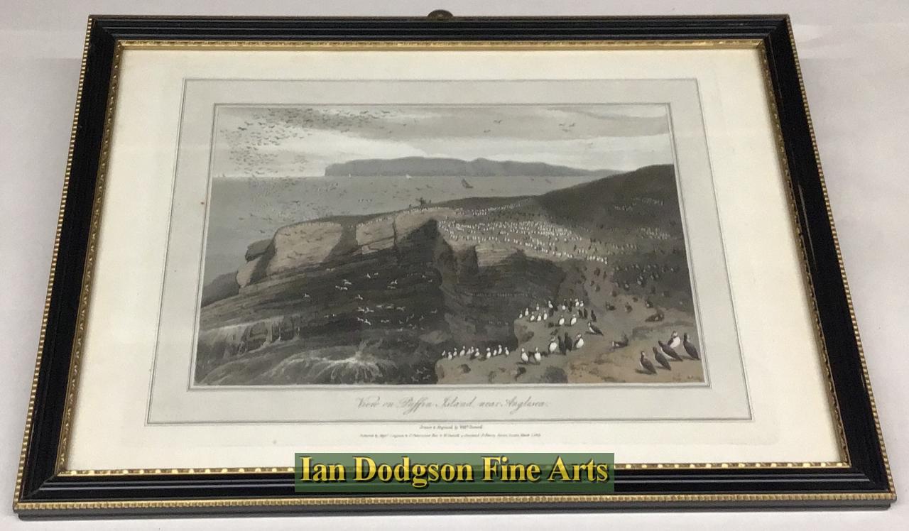 View on Puffin Island near Anglesea by William Daniell