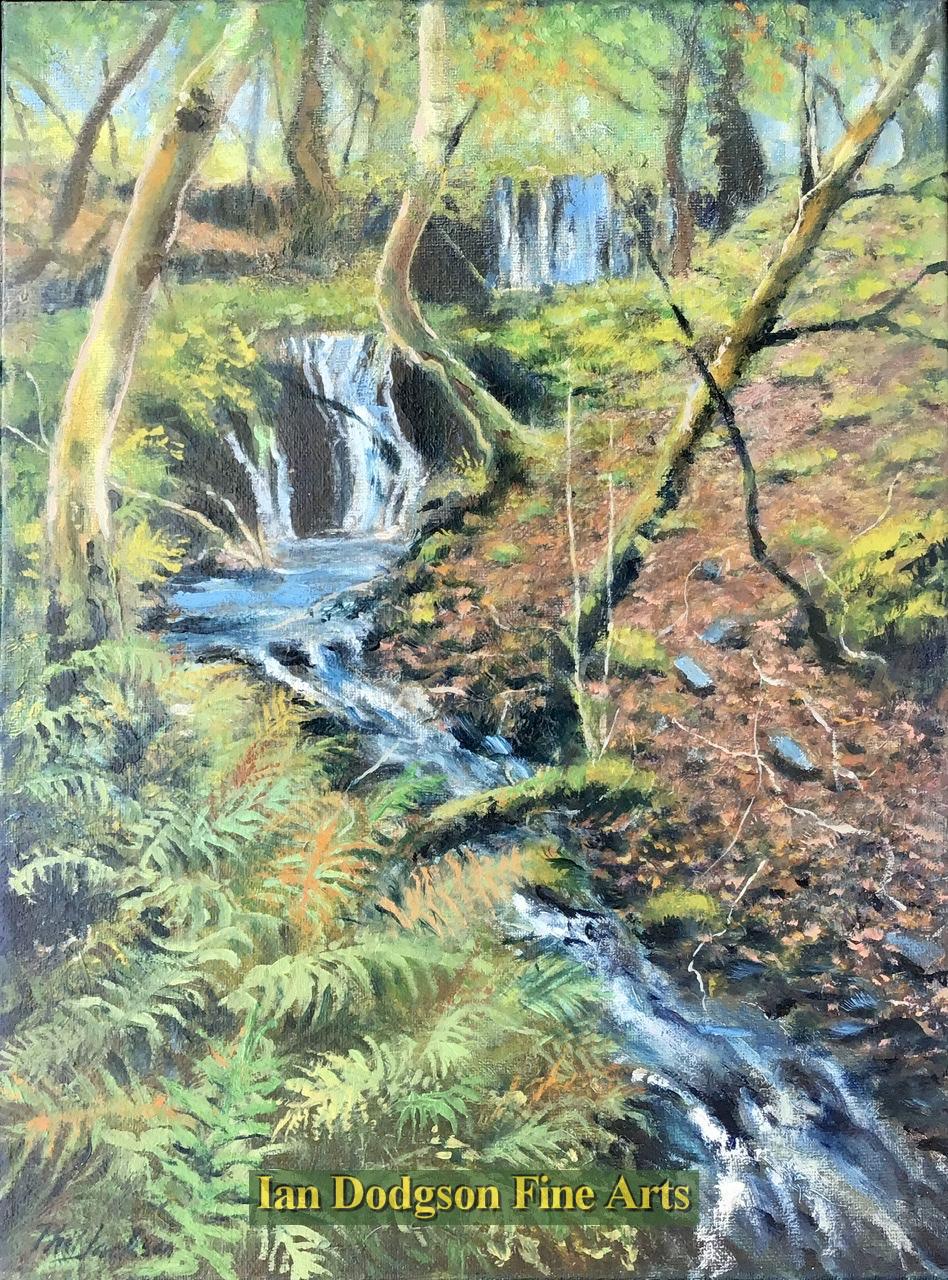 Phil Jackson - Outflow from Llyn Crafnant Oil on canvas (2021)