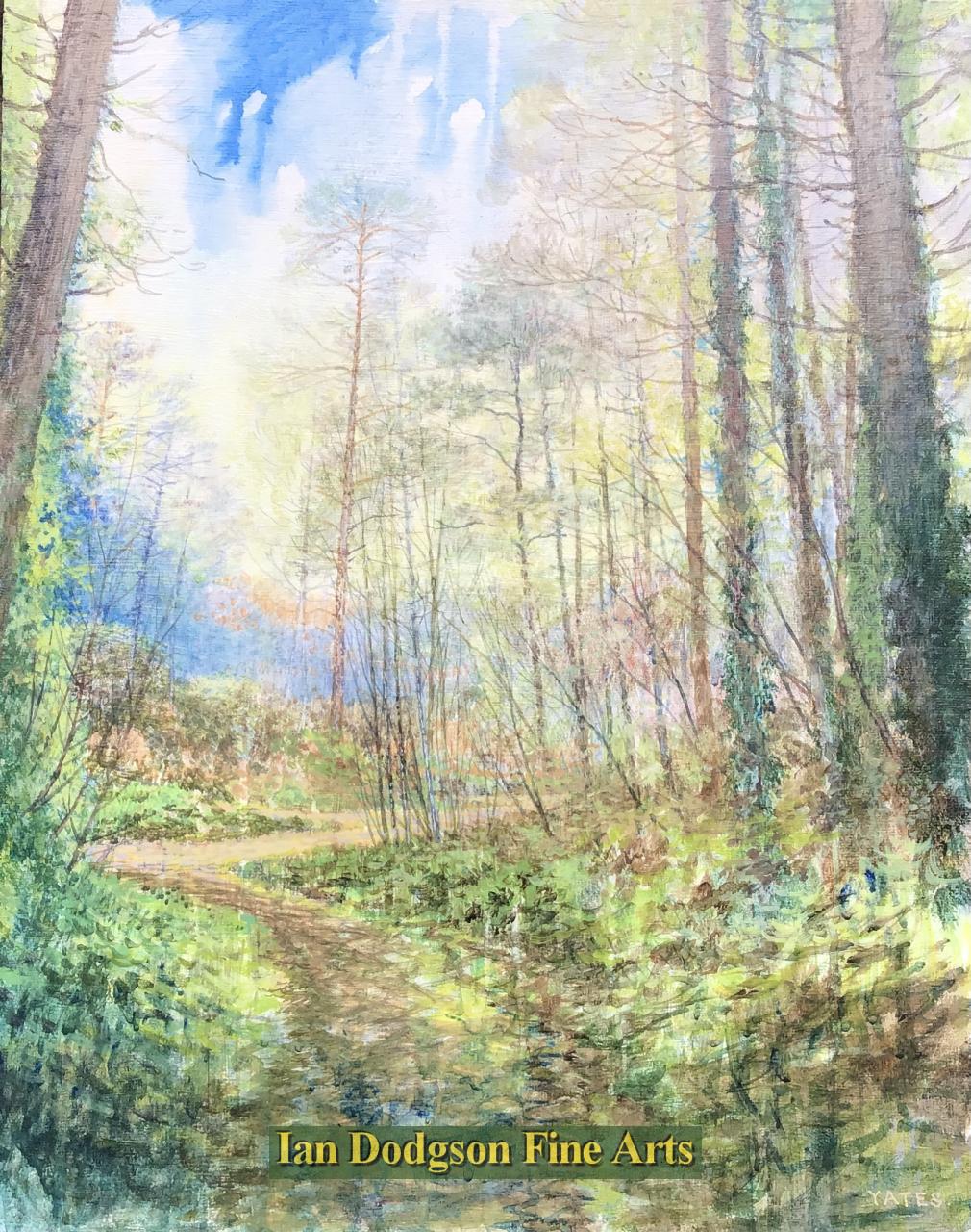 Trees, Rainy Day by Jeremy Yates