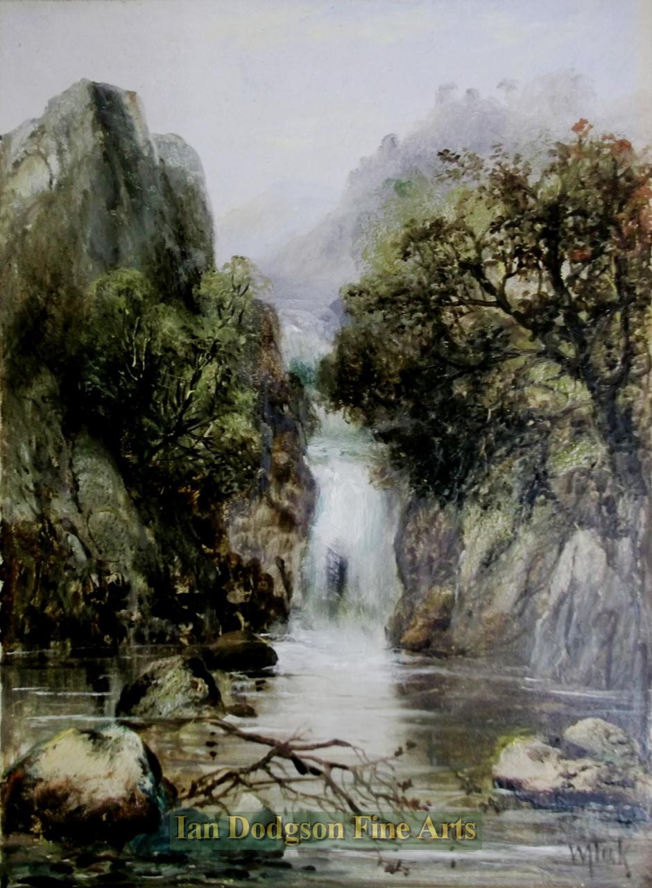 Waterfall by William Took. 