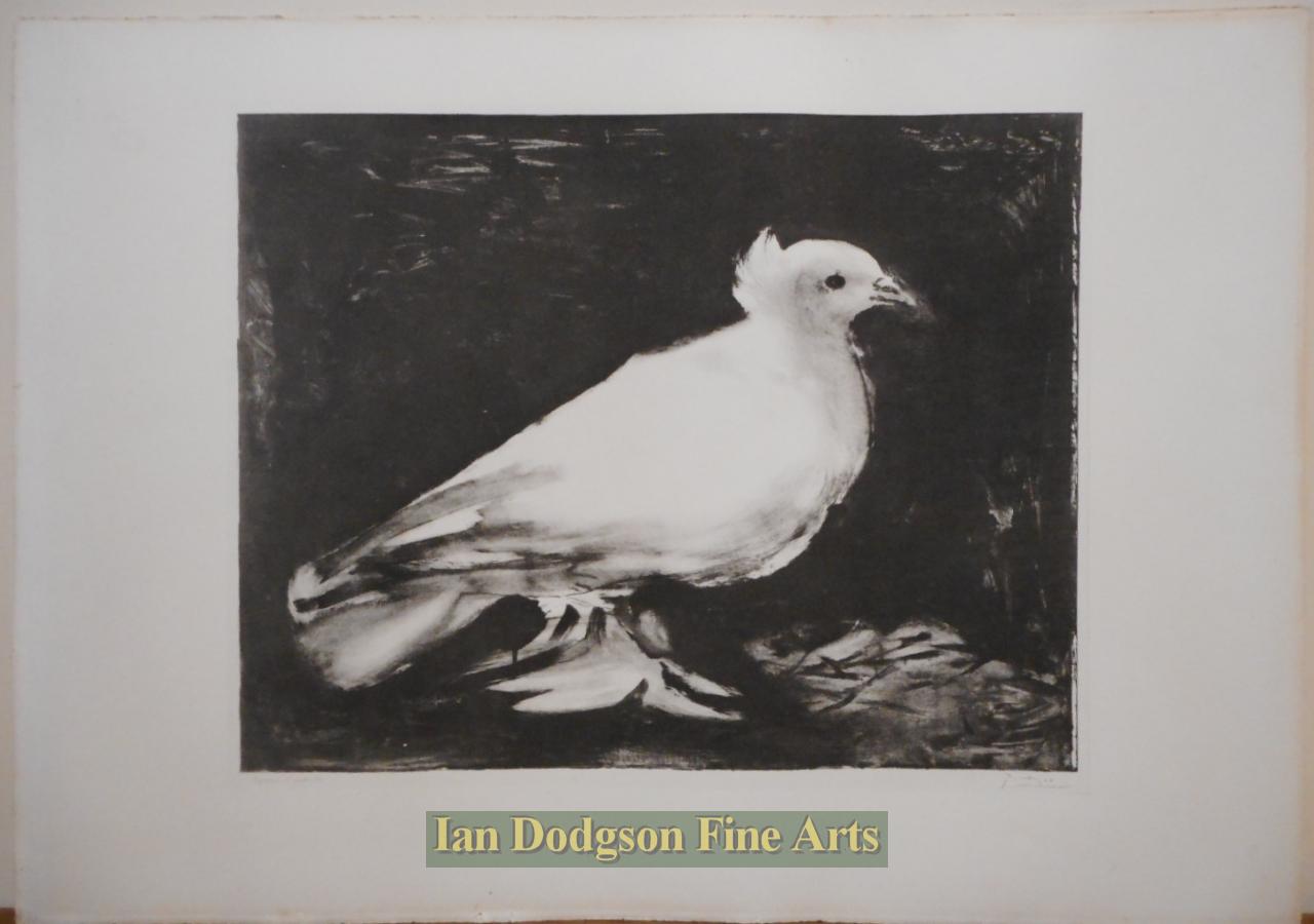 La Colombe, The Dove by 