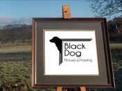 Black Dog Pictures and Framing, Ruthin