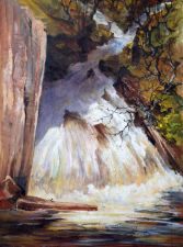 Waterfall with Deer by Barbara Brassey