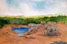 Watering Hole, Sketch from her studio by Barbara Brassey