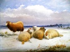 'Thomas Sidney Cooper RA, ARA - Sheep resting after the snowstorm