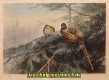 'George Edward Lodge - Pheasants