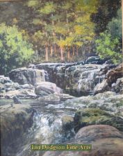 'Jeremy Yates PRCA - Trees Rocks River (Ogwen Bank)