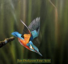 The Kingfisher by Richard Duffield