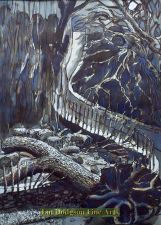 Fallen Oak Parc Meurig by Jeremy Cullimore
